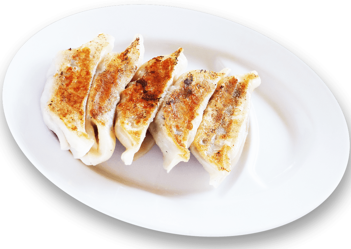 picture of grilled gyoza