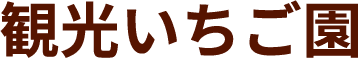 観光いちご園