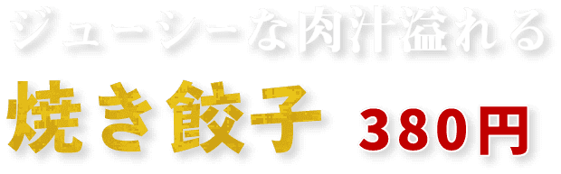 ジューシーな肉汁溢れる焼き餃子380円